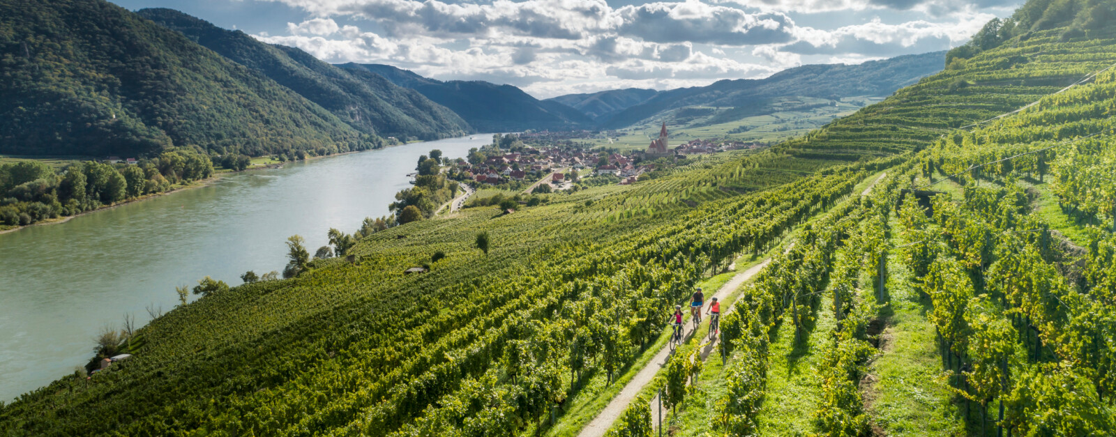 Odia rigidez Señal En bicicleta por Austria - del danubio a la region del vino