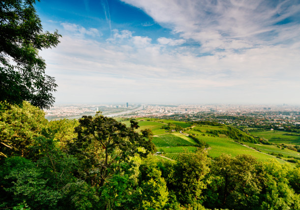     Kahlenberg 
