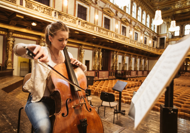     Musikverein Vienna / Vienna