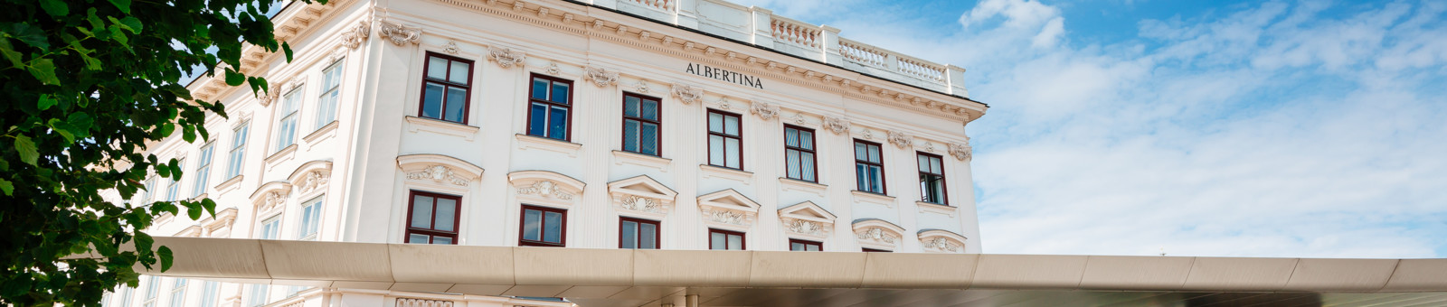     The Albertina Museum 