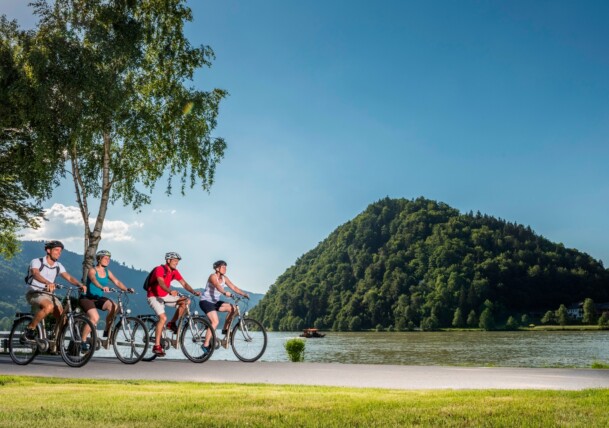     Am Donauradweg bei Schlögen 