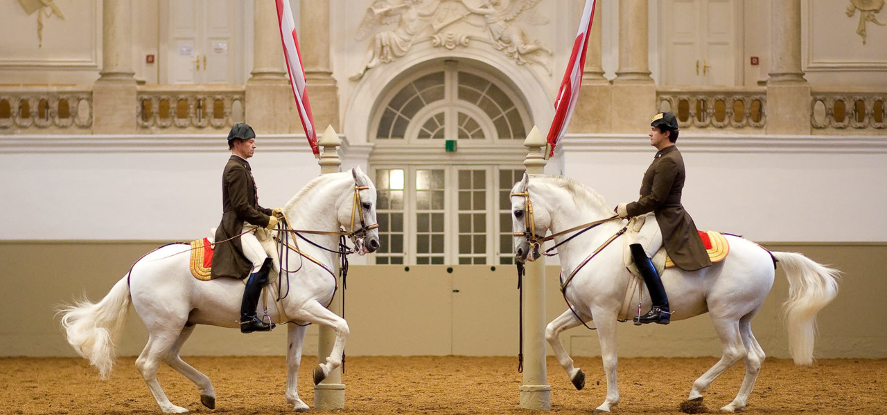 スペイン式宮廷馬術学校