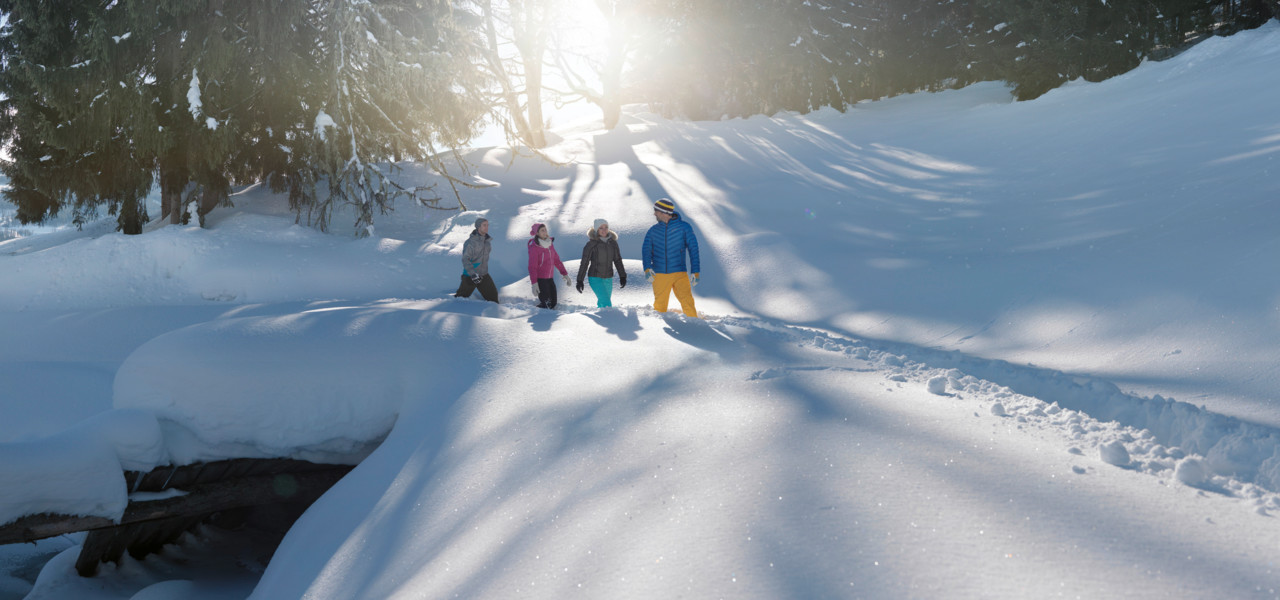 Hiking and snowshoeing - All winter activities - Les Gets