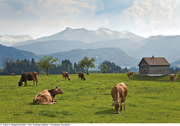 The Cheese Road in Vorarlberg, Austria Plan Your Trip