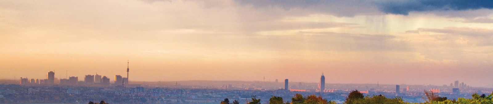     Wineries in Vienna 