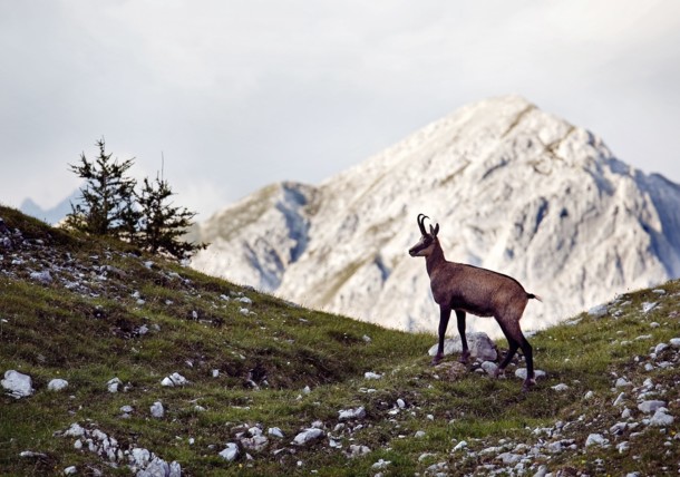 Nature and Climate Nature and Climate