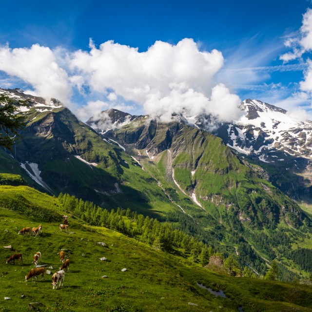 Die Top-Sehenswürdigkeiten In Kärnten