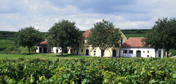 Frau Kennenlernen In Leutschach An Der WeinstraГџe