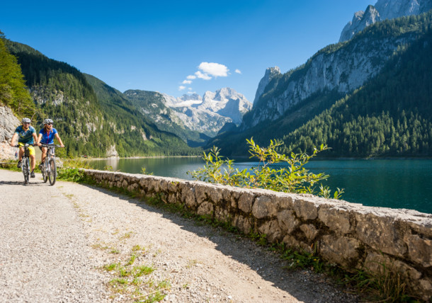     Dachstein 