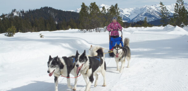 Les plus belles destinations pour faire du chien de traîneau