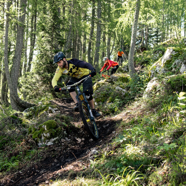 MTB ZONE Bikepark Petzen In Kärnten Für Mountainbiker