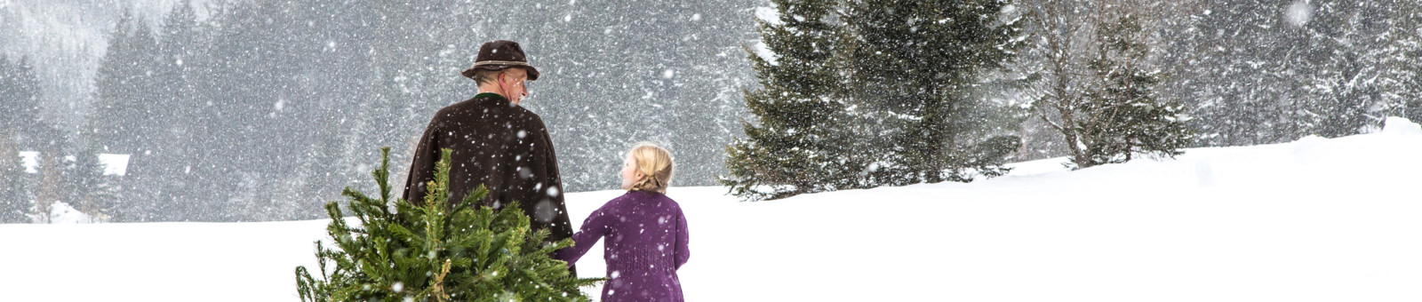     Getting the Christmas tree 