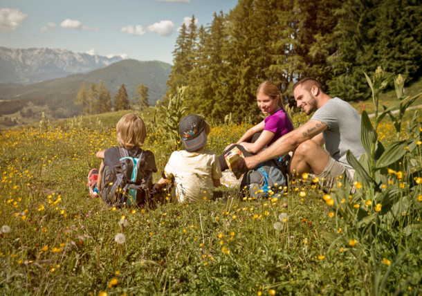     Familienurlaub, Sommer in St. Johann in Salzburg / St. Johann in Salzburg
