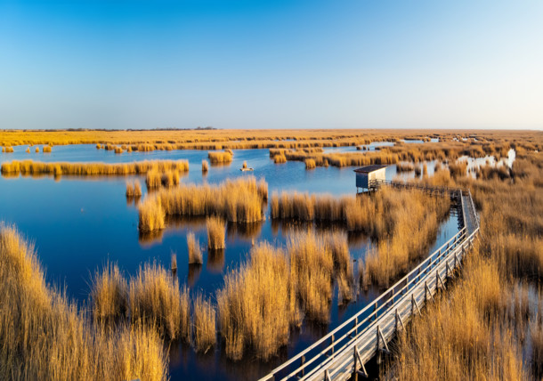     Nationalpark Neusiedler See-Seewinkel / Nationalpark Neusiedler See - Seewinkel