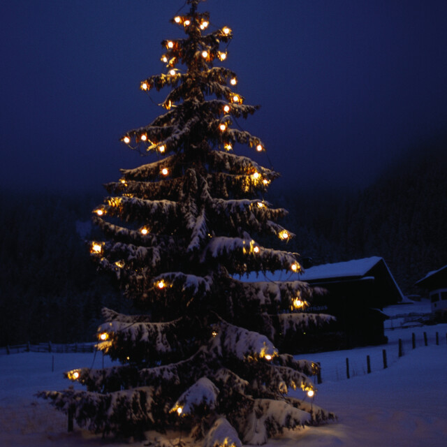 Austrian Christmas Traditions