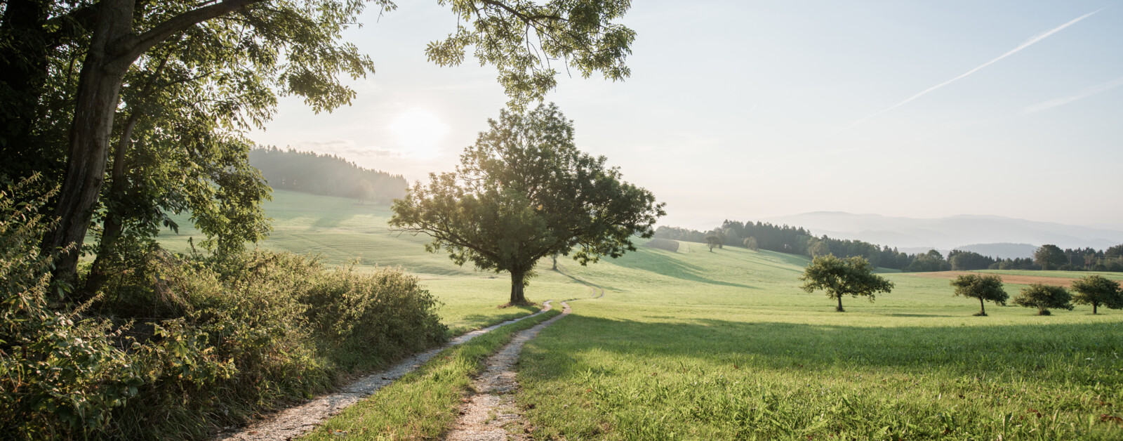 Sicher Reisen In Osterreich In Corona Zeiten Einreise