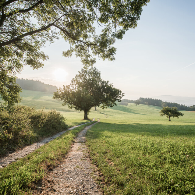 Aktualis Informaciok A Koronavirus Helyzetrol Austria Info