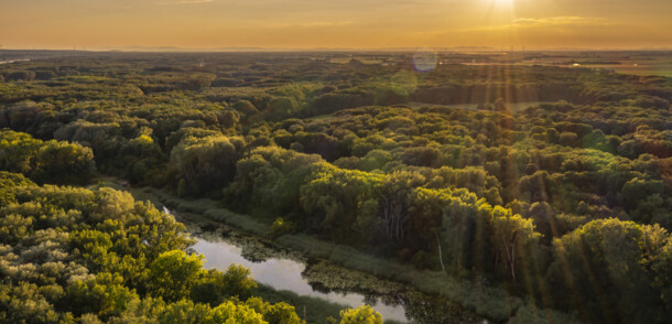     Danube National Park / Nationalpark Donau-Auen