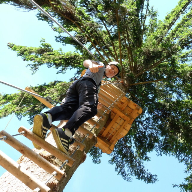 Die Abenteuerlichsten Hochseilgarten Und Kletterparks In Osterreich