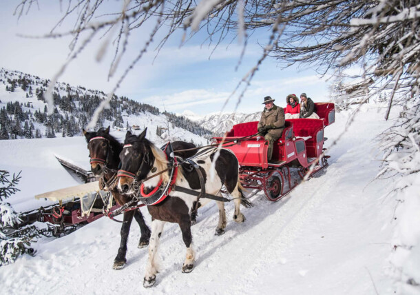 En traîneau à cheval sur la neige en Autriche