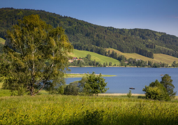     Počitnice na kmetiji, pogled na jezero Irrsee 