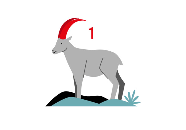     Illustration: Steinbock 