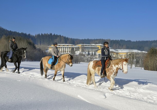     Aldiana Club Ampflwang Reiten 