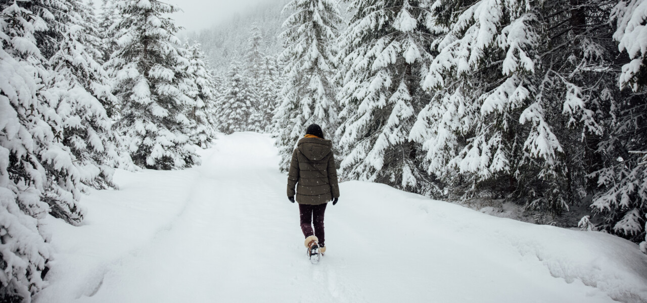 Finding the Winter Light - winter walk in the region of Altenmarkt-Zauchensee 