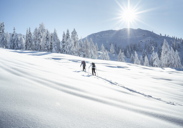     Ski tour to the Gartnerkofel 
