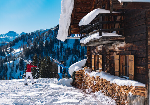     Ski amadé mountain hut / Ski Amade