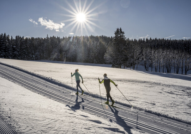     Cross-country skiing at Sonnenplateau Ramsau am Dachstein - Forest Trail / Ramsau