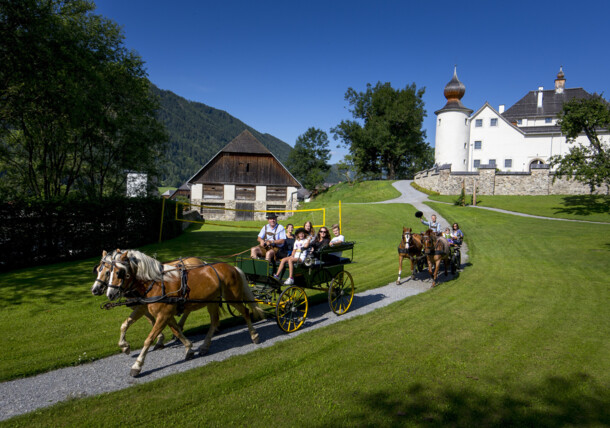     Schloss Feistritz 