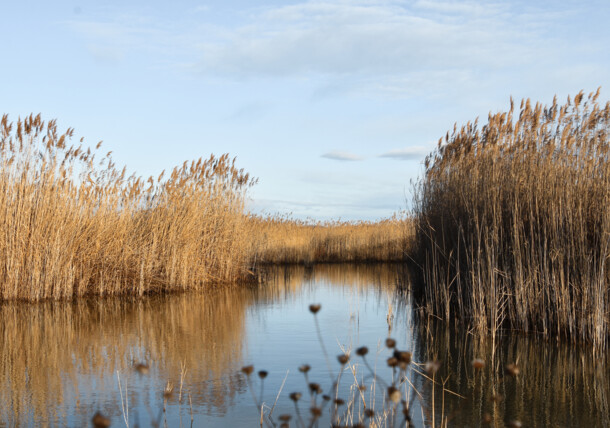     Mörbisch at Lake Neusiedl in Burgenland 