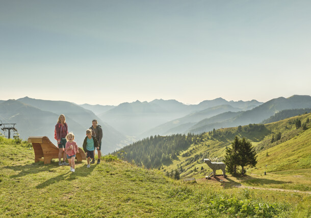     Rodinná hora Riesneralm 
