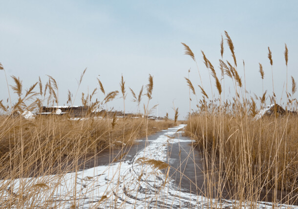     Rust at Lake Neusiedl in Burgenland / Rust, Burgenland