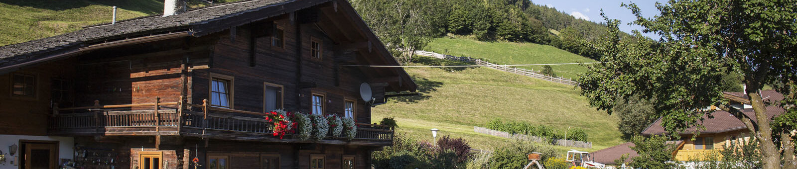    Farm holidays in Tyrol 