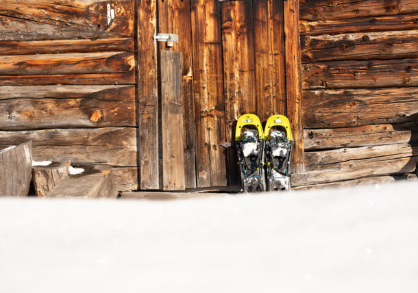     Snowshoeing, Alpbach, Brandenberg / Alpbach