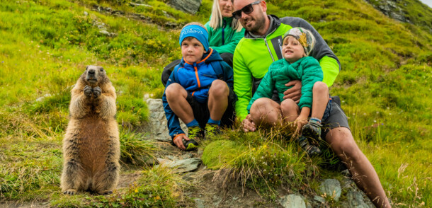     Hiking in the Grossglockner region - family with marmot 