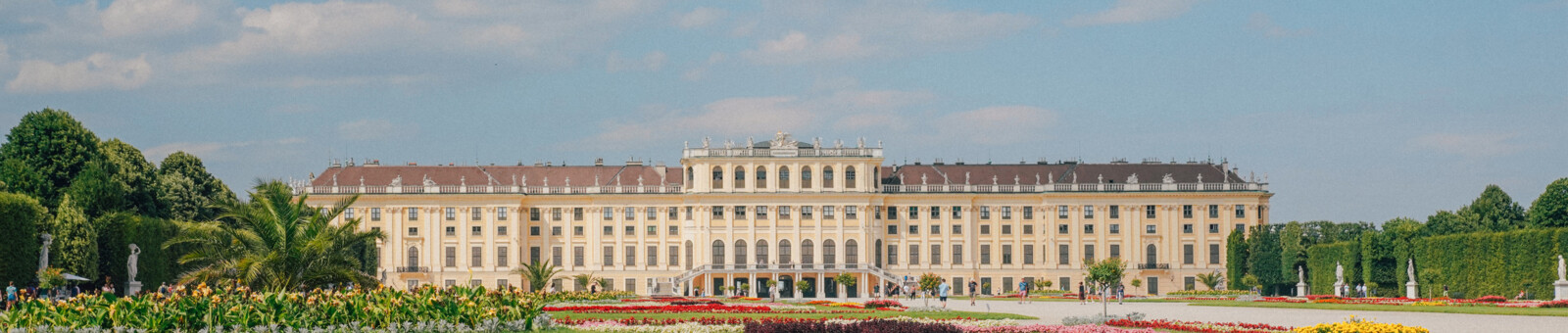     real Austria Kampagne 
