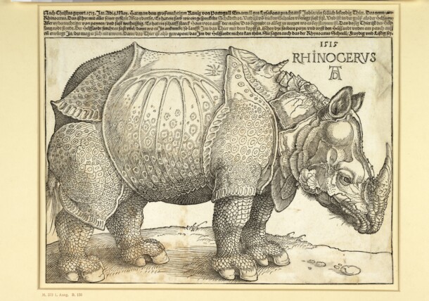     Albrecht Dürer, Rhinocerus, 1515, museum Albertina Vienna / Albertina, Vienna