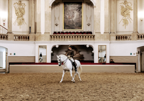     Spanish Riding School / Spanische Hofreitschule