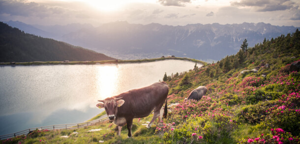 Walking and Hiking in Austria ➢ Plan Your Trip