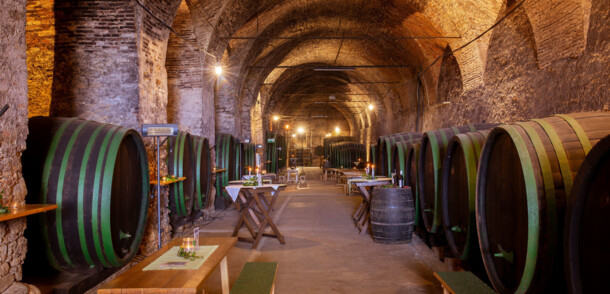    Wine cellar in Seggau Castle / Hotel Schloss Seggau