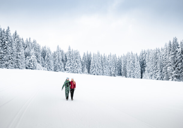     Winter hiking, Schladming Dachstein 