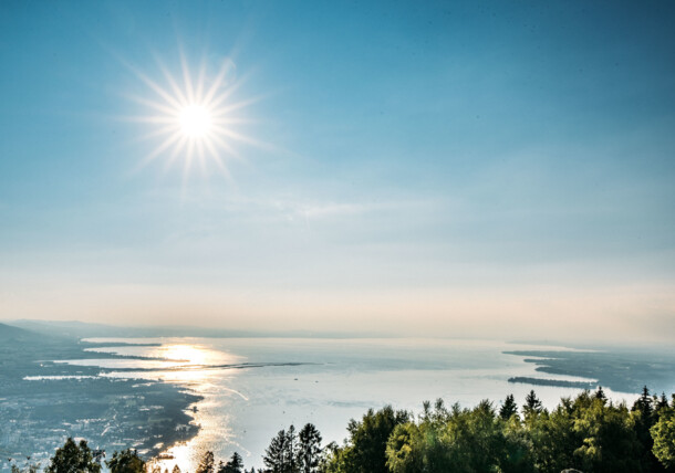     View of Lake Constance / Bregenz